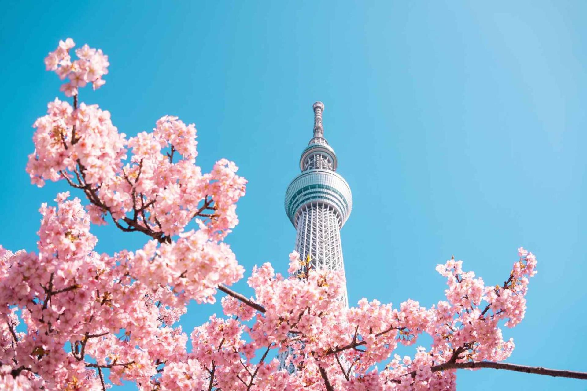 Fl Hotel Asakusa Tokyo Esterno foto